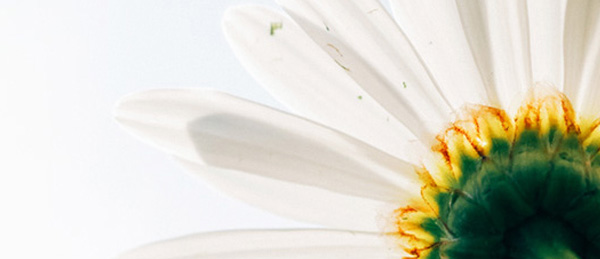 玖鼎集团·(中国区)有限公司官网